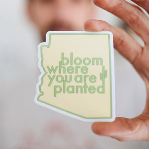Bloom Where You Are Planted
