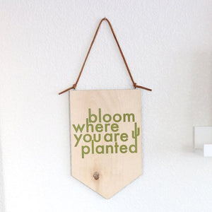 Bloom where you are planted